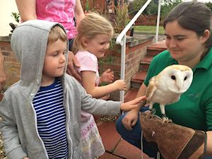 Picture of Emily and Stanley meeting the barn owl