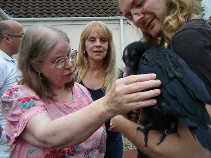 Picture of Annabel with the cheeky carrion crow